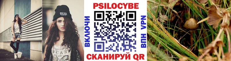 kraken как зайти  продажа наркотиков  Алатырь  Псилоцибиновые грибы Psilocybe 