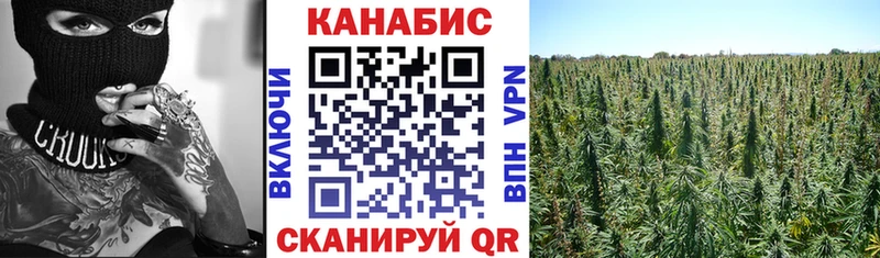 магазин продажи   Алатырь  Канабис планчик 